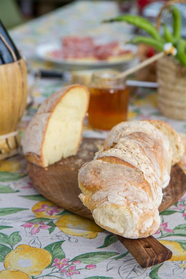 Palazzi Bed and breakfast Florencia